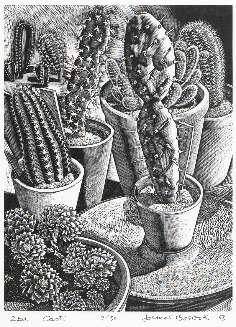 Cacti